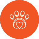 Dog showing signs of lameness or limping — urgent veterinary evaluation in Denver, CO