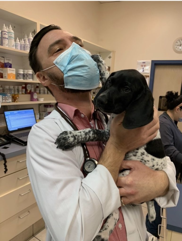 employee with dog - State of the Heart Vet in Denver, CO