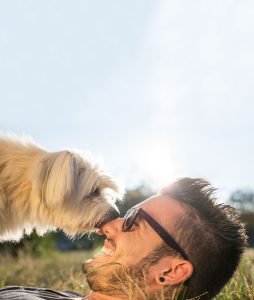 Man and his dog enjoy the sun in Denver CO