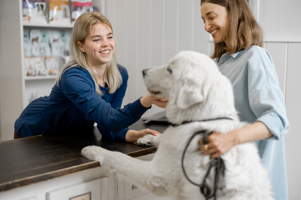Veterinarian discussing treatment and costs with female pet owner and large white dog in clinic